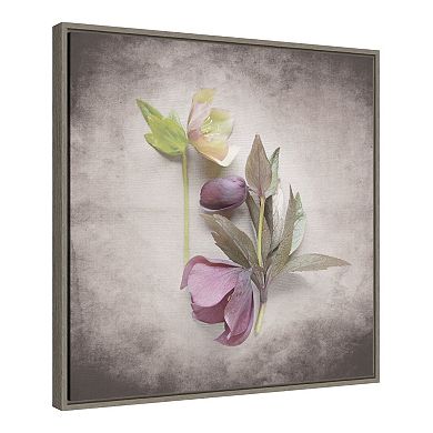 Amanti Art Vintage Hellebore Study VII Framed Canvas Wall Art