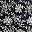 Black Tonal Floral