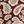 Rust Small Paisley