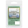 Sonoma Goods For Life® Frosted Woodland Pine 2.5-oz. Wax Melt