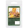 Sonoma Goods For Life® Spiced Holly Berry 2.5-oz. Wax Melt