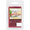 Sonoma Goods For Life® Sweet Appletini 2.5-oz. Wax Melt
