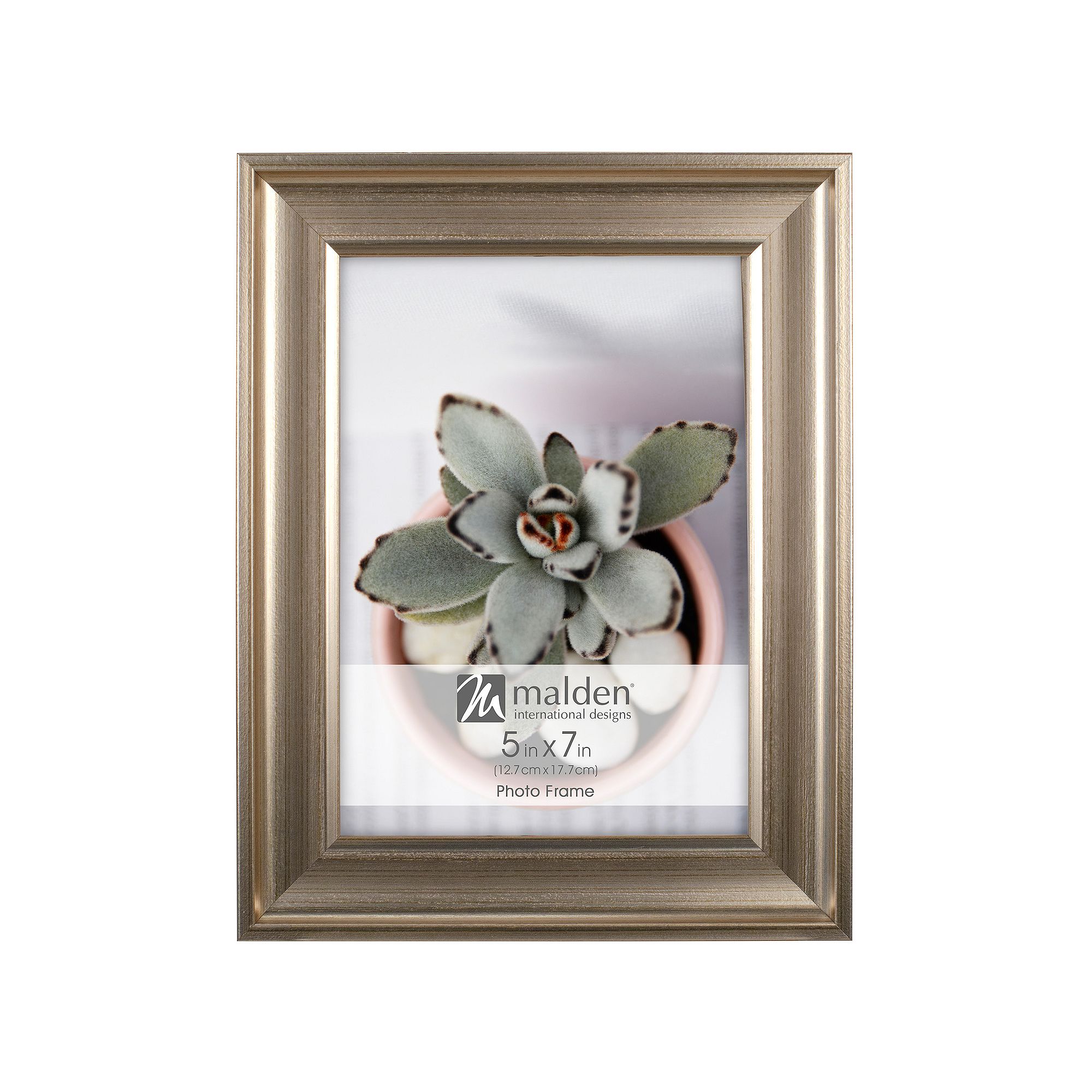 Malden Great Value Frame, Silver