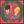 Red Heather