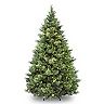 National Tree Company 9 ft Carolina Pine Tree with Clear Lights