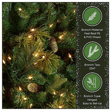 National Tree Company 9 ft. Carolina Pine Tree with Clear Lights