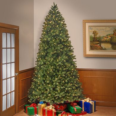 National Tree Company 9 ft. PowerConnect(TM) Bayberry(R) Spruce Tree ...