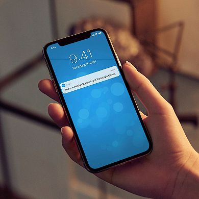 Ring Smart Lighting Spotlight Black 2-Pack + Bridge