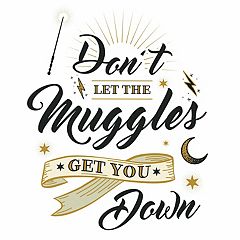 Harry Potter Wall Decor, Home Decor