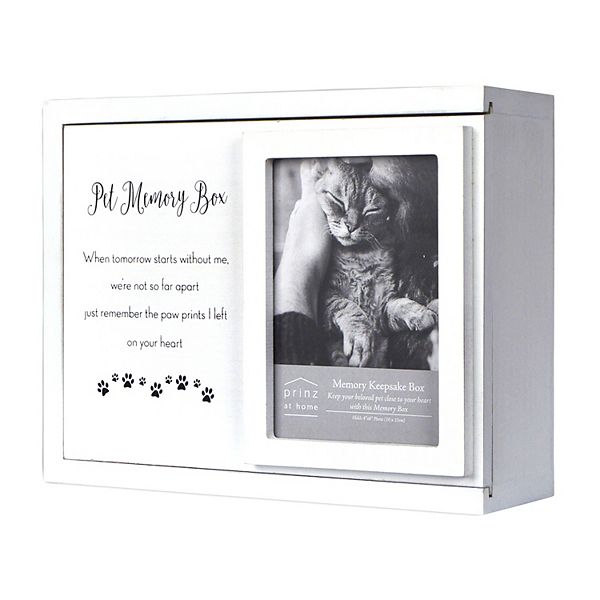 Cat store memory box