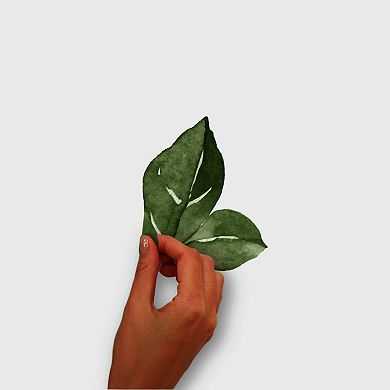 RoomMates Leaves Peel & Stick Wall Decals