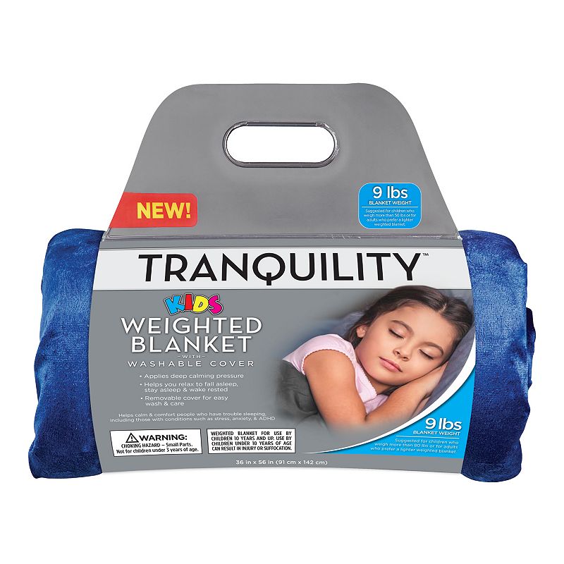 Sealy  Plush Weighted Blanket