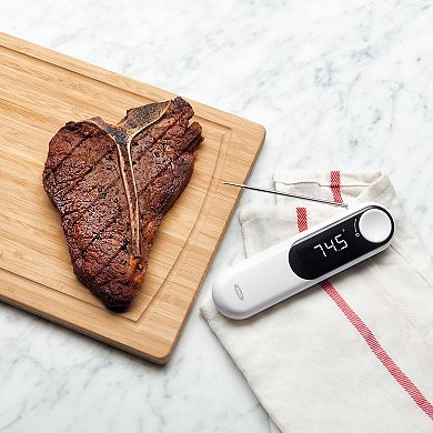 OXO Good Grips Chef's Precision Thermocouple Thermometer