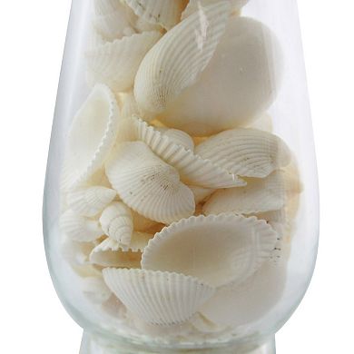 Sonoma Goods For Life Glass Shell-Filled Pillar Candle Holder