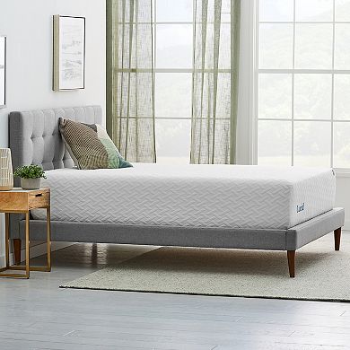 Lucid Dream Collection 14-in. Plush Memory Foam Mattress