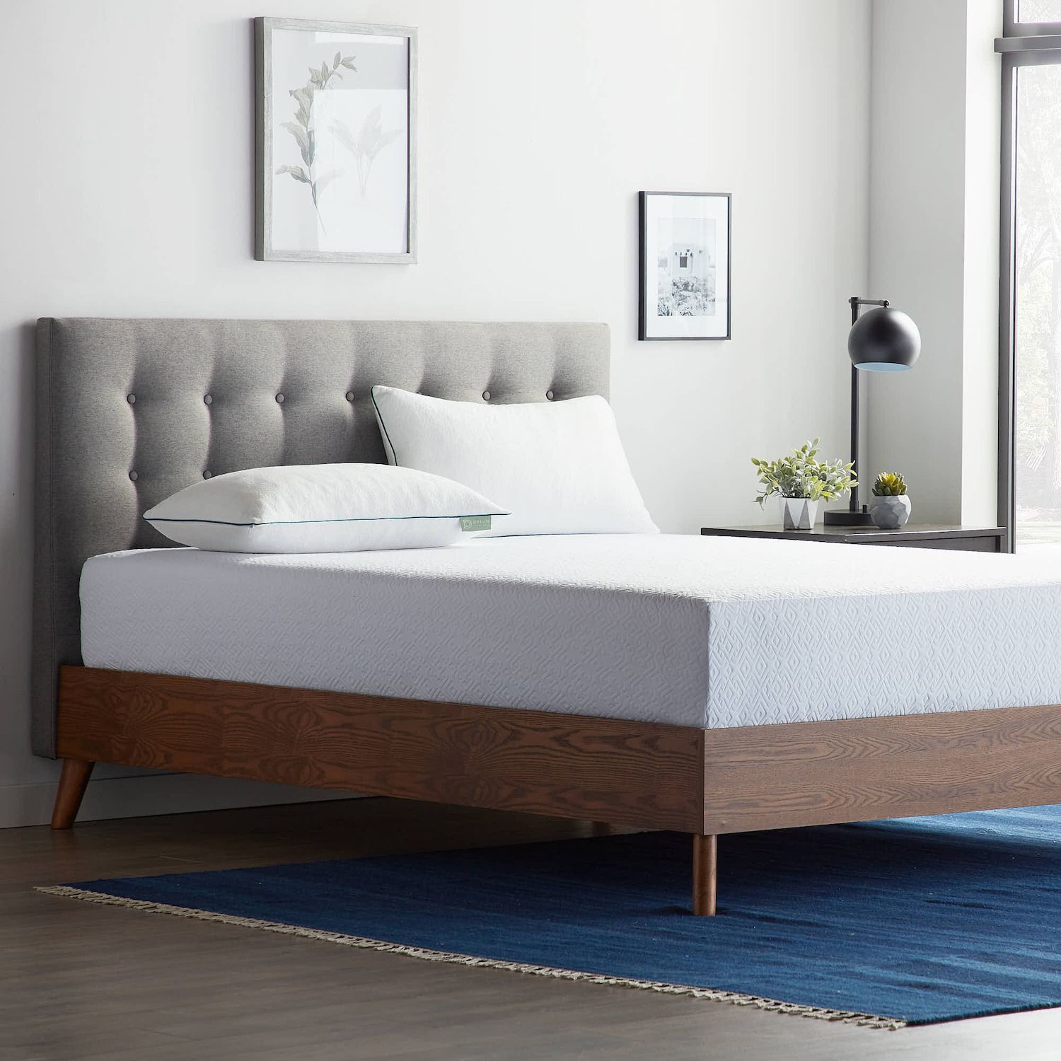 dream solutions latex foam pillow
