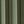 Moss Green