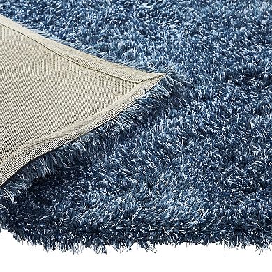 Chesapeake Microfiber Polyester Shag 5'x7' Canilla Area Rug