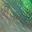 Abalone