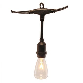 Lumabase Electric Commercial Grade String Lights & 12 Edison Lights