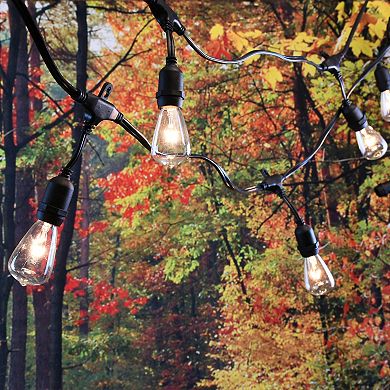 Lumabase Electric Commercial Grade String Lights & 12 Edison Lights