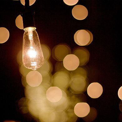 Lumabase Electric Commercial Grade String Lights & 12 Edison Lights