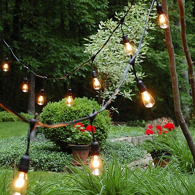 Lumabase Electric Commercial Grade String Lights & 12 Edison Lights