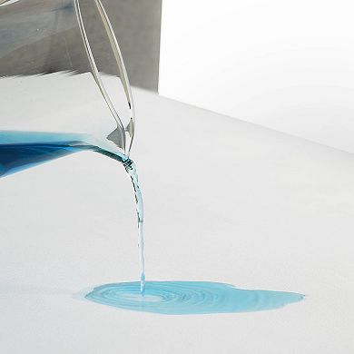 Lucid Dream Collection Encasement Mattress Protector