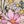 Cream Lilith Fl