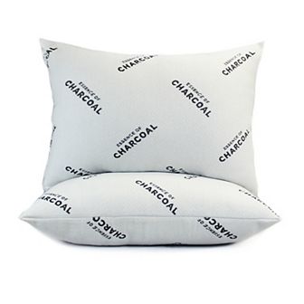 Essence of Charcoal 2-pack Bed Pillow
