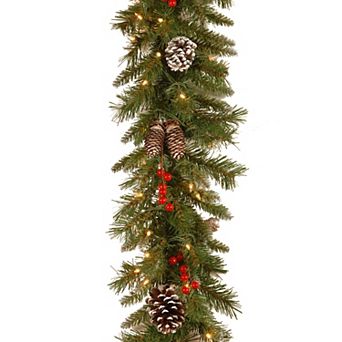 National Tree Co. 9-ft. Frosted Berry Garland & Clear Lights