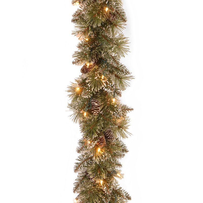 National Tree Company 9 ft. Glittery Bristle Pine Garland with Clear Lights