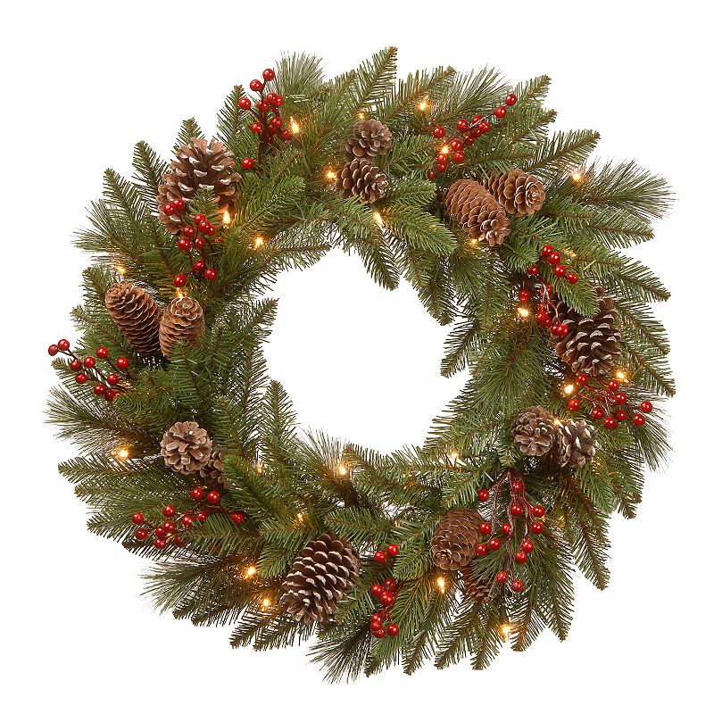 National Tree Co. 24-in. Bristle Berry Wreath & Battery Operated LED Lights