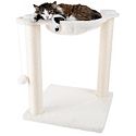 Furniture & Cat Trees
