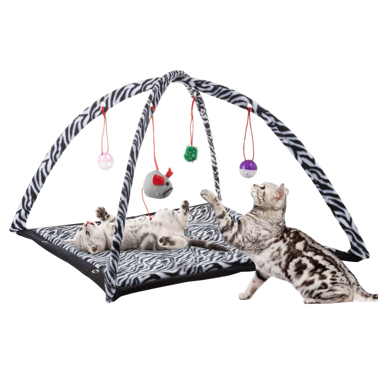 IOKHEIRA Interactive Cat Toy, Cat Toys for Indoor Cats Interactive, Ca –  KOL PET