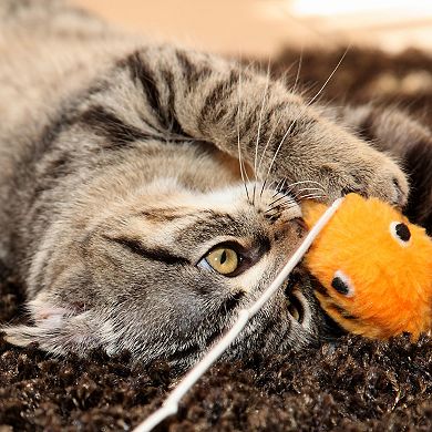 PetMaker Interactive Cat Activity Center
