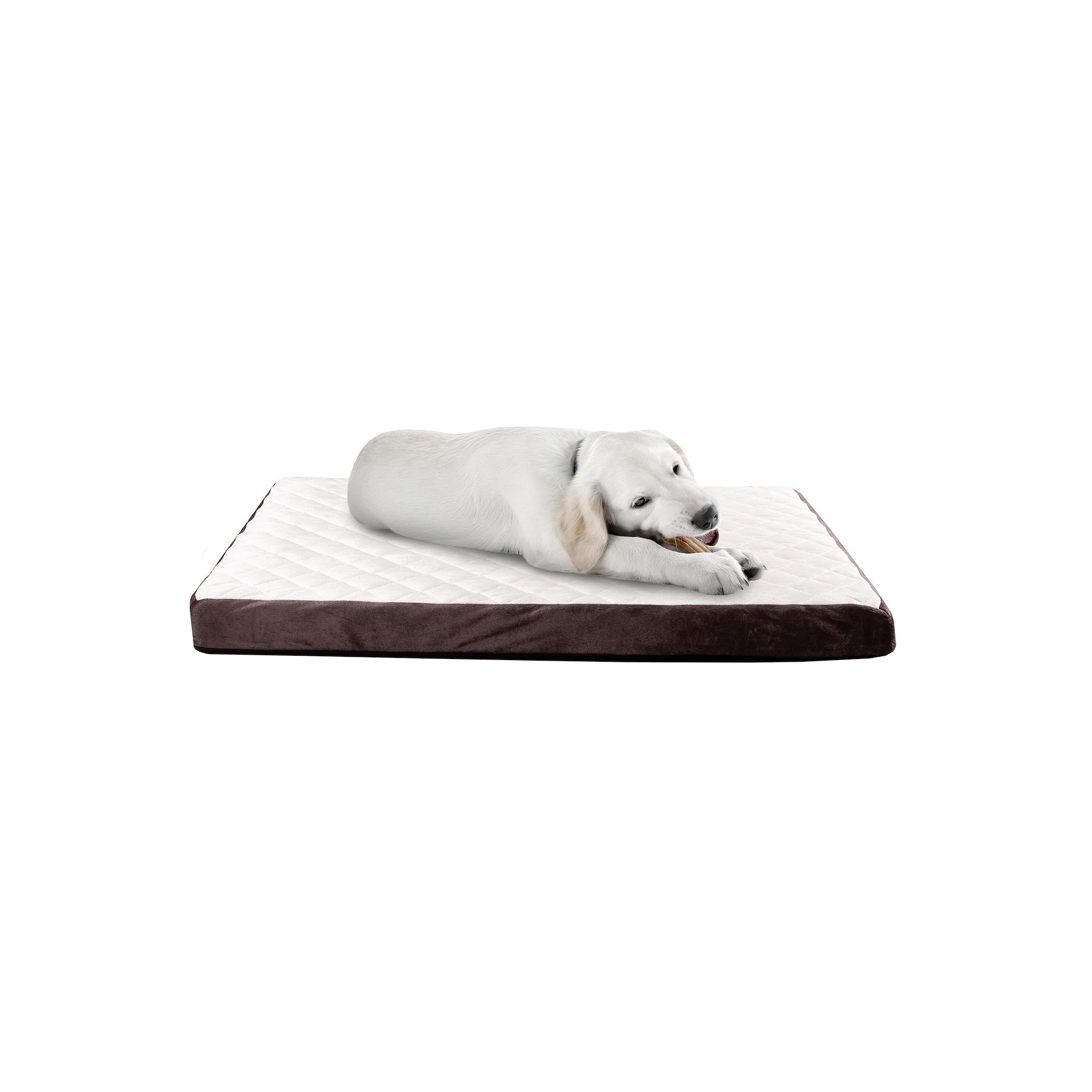 PetMaker Charcoal Infused Foam Crate Cushion - Medium, Multi