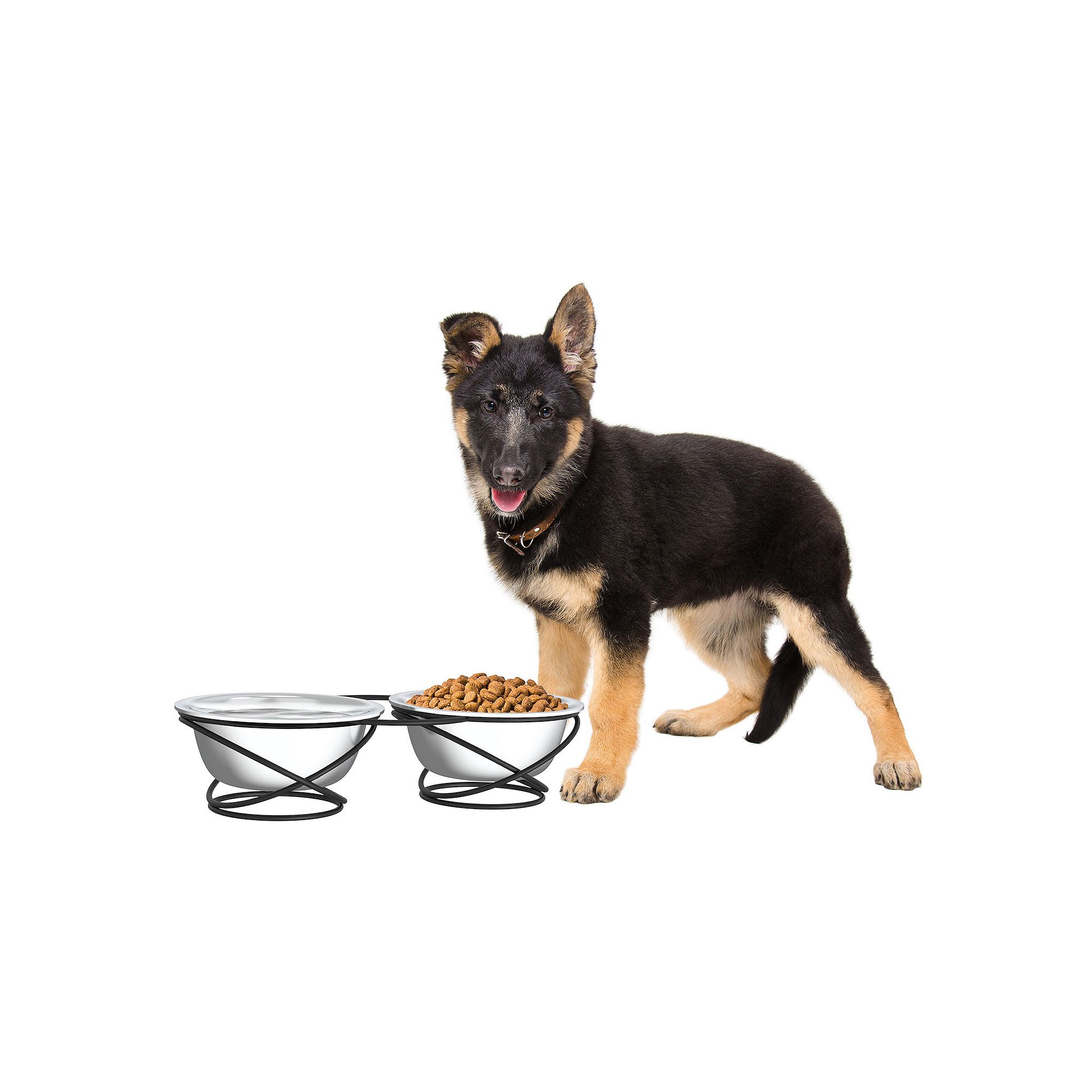 PetMaker Stainless Steel Raised Food And Water Bowls With Decorative Stand,