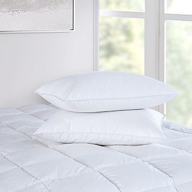  Down Home Mini-Feather & Down Pillow
