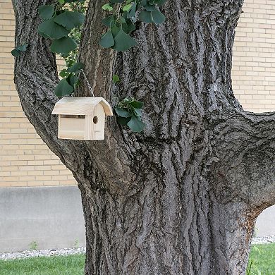 Homeware DYI Combo Kit: Bird Feeder and Bird House