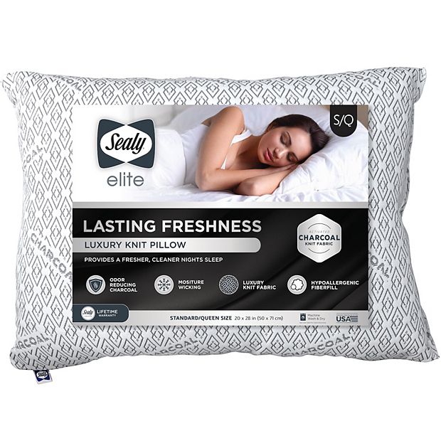 Activated 2025 charcoal pillow