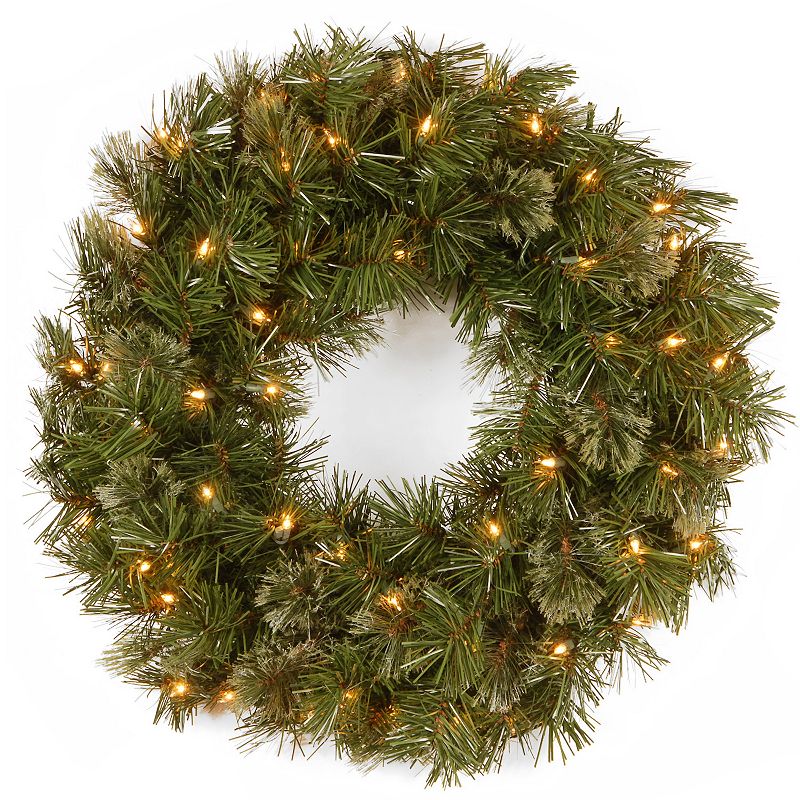 National Tree Company 24 Wispy Willow Wreath with Clear Lights, Green