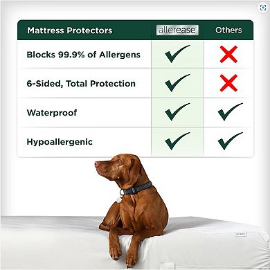 AllerEase Allergy Protection Zippered Mattress Protector