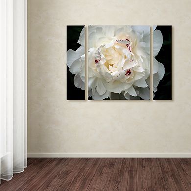 Trademark Fine Art 'Perfect Peony' Multi Panel Art Set