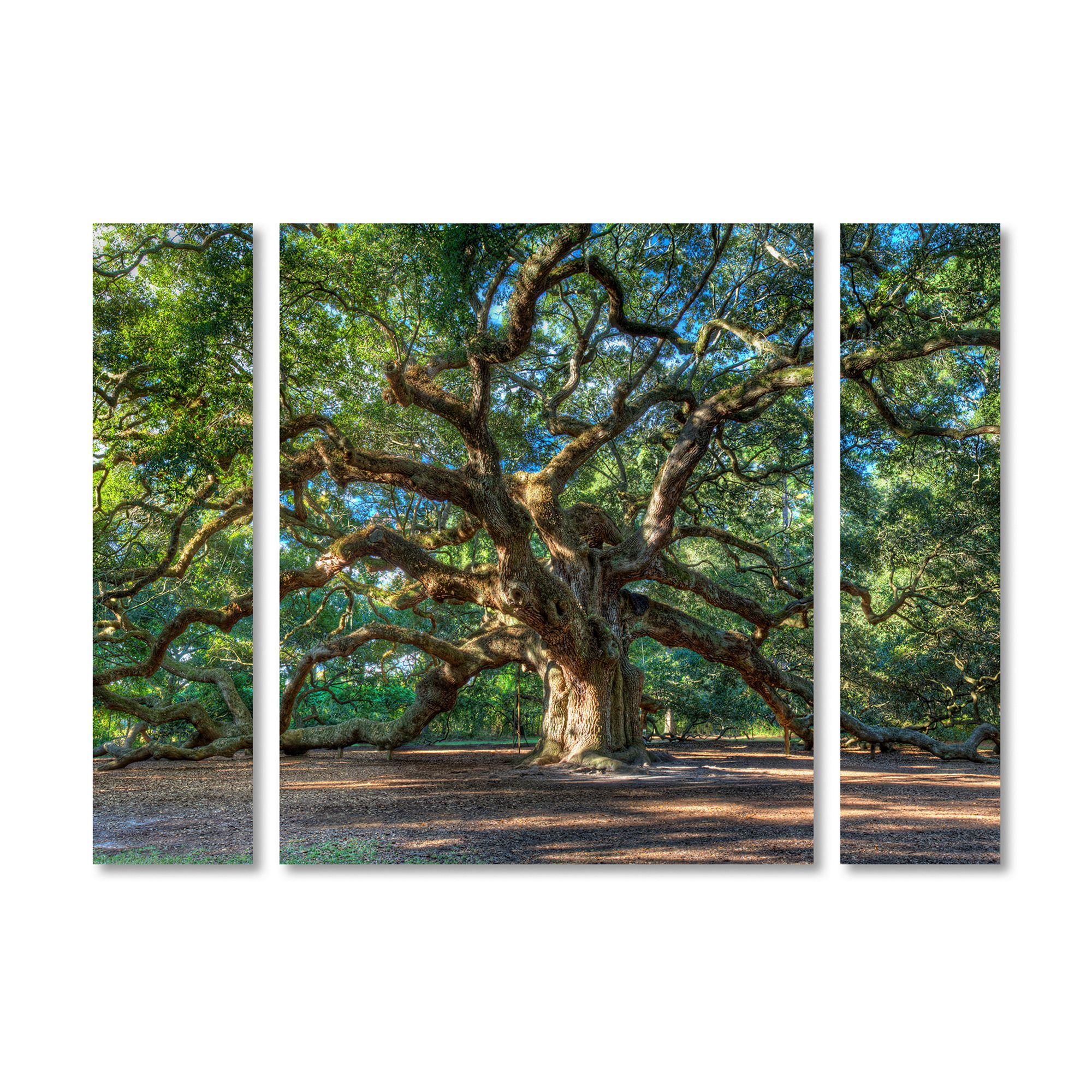 Trademark Fine Art Angel Oak Charleston Multi Panel Art Set, Multi None