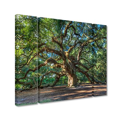 Trademark Fine Art 'Angel Oak Charleston' Multi Panel Art Set