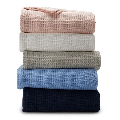 Sonoma Goods For Life® The Everyday Cotton Bed Blanket