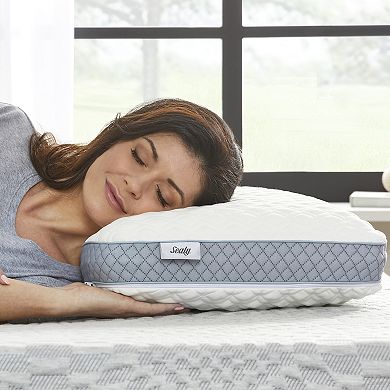 Sealy Memory Foam Bed Pillow