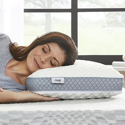 Sealy Molded Memory Foam Pillow