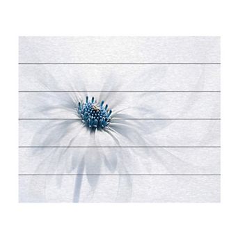 Trademark Fine Art 'Serenity' Wood Slat Art